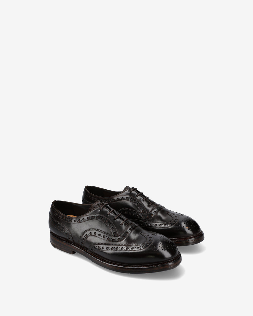 Derby Brogue in cordovan nero