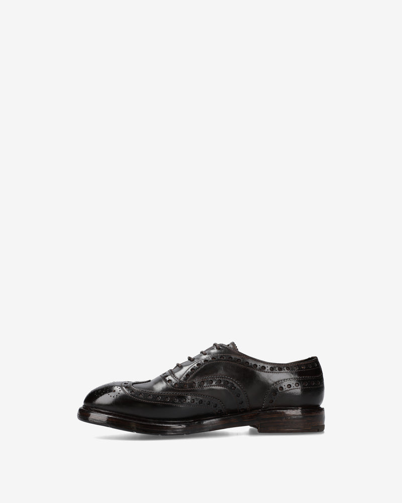 Derby Brogue in cordovan nero