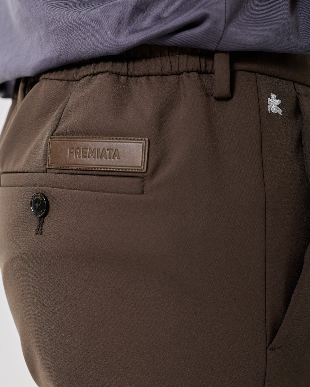 Pantalone Technical Wool Brown
