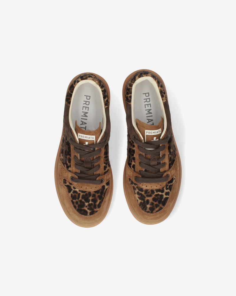 Quinnd 8643